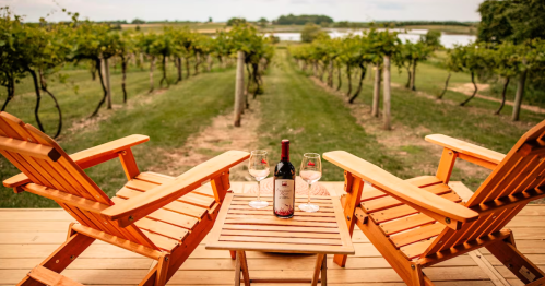 A wooden table with a bottle of wine and two empty wine glasses sits between two Adirondack chairs on a deck overlooking a green vineyard.