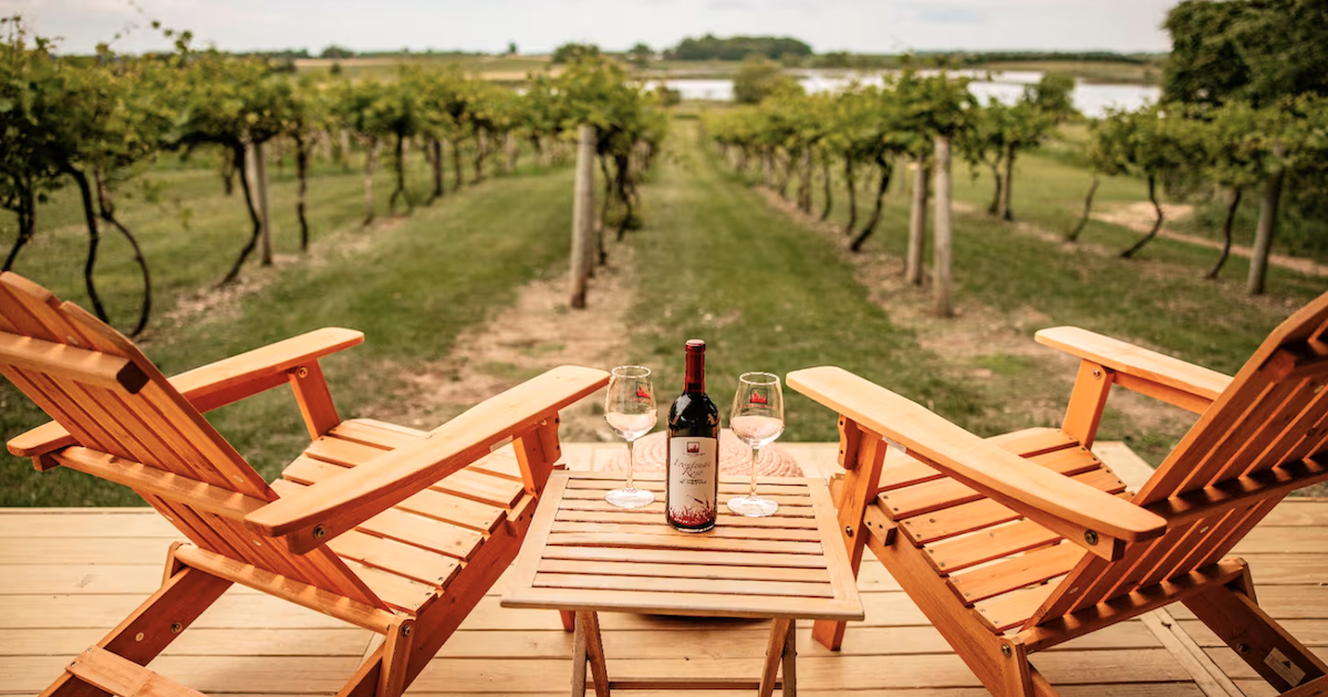 You Can Sleep and Sip Wine at This Airbnb in Minnesota