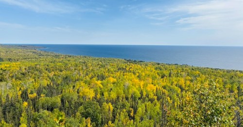 A view over a green forest that's beginning to take on the yellows of autumn to the vast blue waters of Lake Superior.