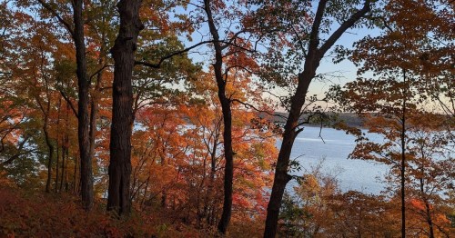 A serene view of a lake surrounded by trees with vibrant autumn foliage in shades of orange and red.