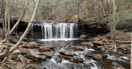 A short but wide waterfall flows into a little pool before continuing in a rocky stream. The surrounding forest is transitioning from fall to winter.