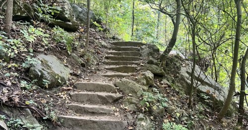 A set of rocky stairs leads up a hiking trail towards the top of the mountains, surrounded by woods.