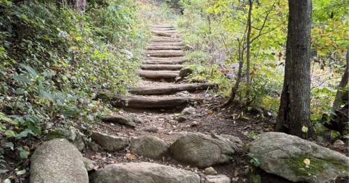 Wooden steps leading up a trail in the forest in Shenandoah National Park in early summer, surrounded by green foliage