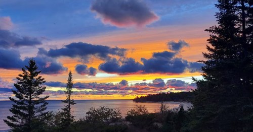 A striking colorful sunset over a bay with dark trees in the foreground, highlighting dramatic clouds.