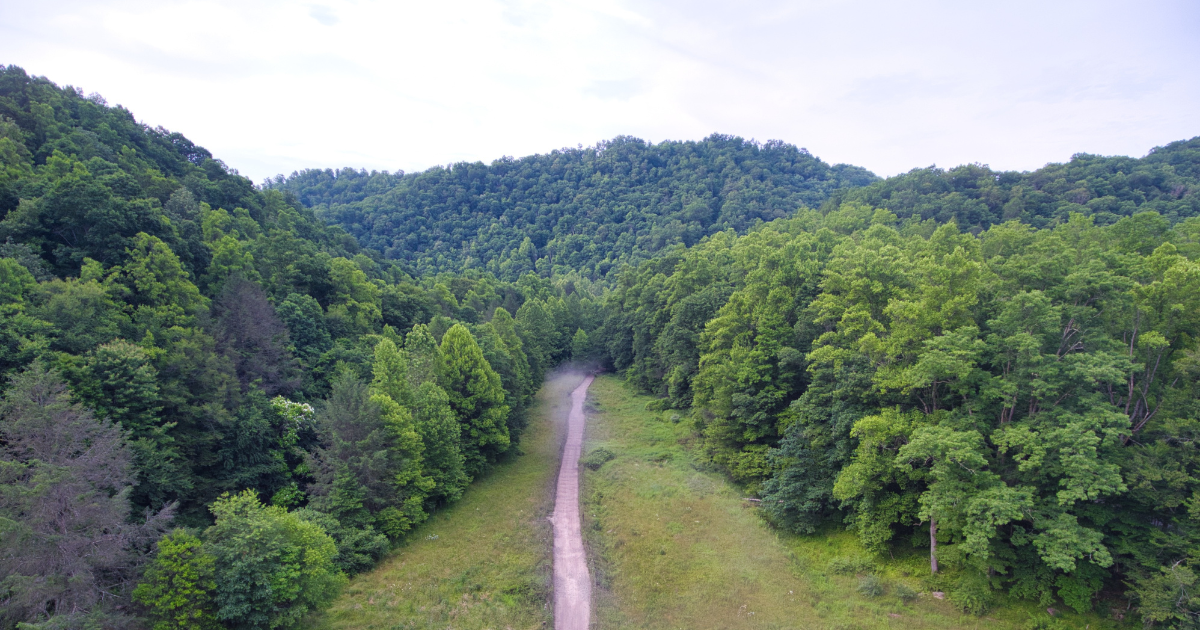 The Remote Small Town in West Virginia Locals Don’t Want You to Find