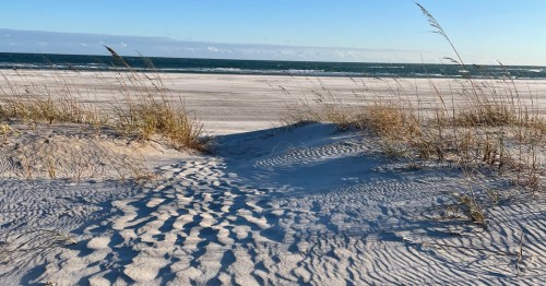 Dunes and ocean on the North Carolina coast