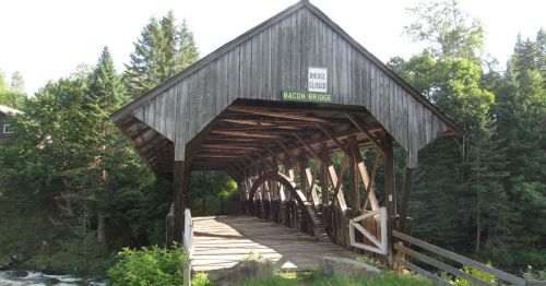 A wooden covered bridge in a forest.