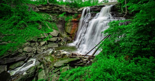 A waterfall flows in a lush forest.