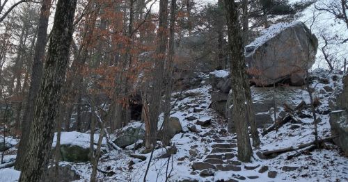 A trail going through a forest with large boulders.
