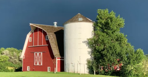 A big, old red barn with a white silo surrounding by vibrant, green grass.