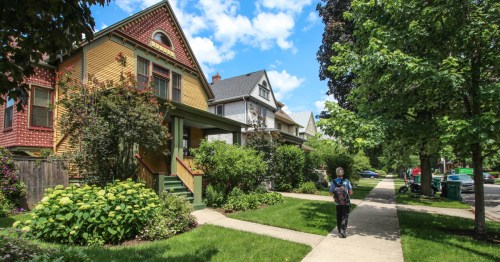 Gorgeous streets line a picturesque neighborhood in Oak Park, Illinois