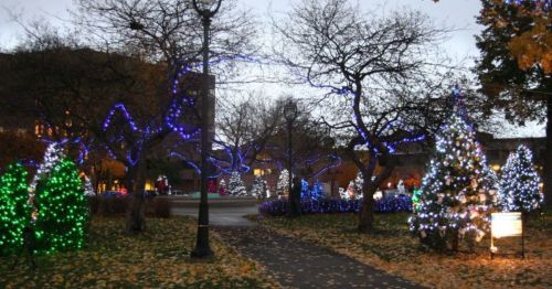 A holiday lights display in a park.