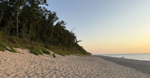 A sunset on a snady beach with trees in the background.