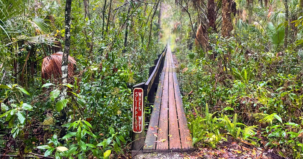 This Scenic Florida Trek Is Even Better in the Winter
