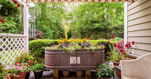 Sunny, private Lewes guest suite porch with colorful flowers, large planter, and lush green, wooded backyard view.