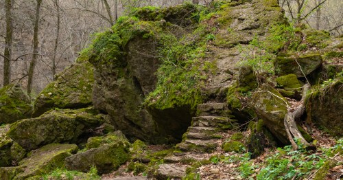 Moss covers the stone stairs to a cave in the woods.