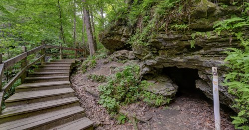 A wood staircase winds around a cave in the forest.