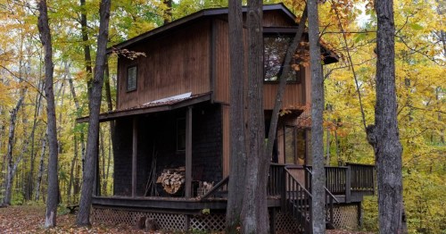 Rustic, two-story wooden cabins in the woods surrounding by tree turning fall colors.