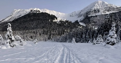 Moose Meadow Park groomed cross-country ski tracks in a pristine, snow-covered forest in Girdwood, Alaska