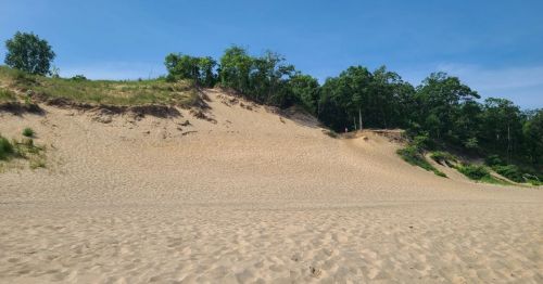 A sandy dune with trees and greenery on the top.