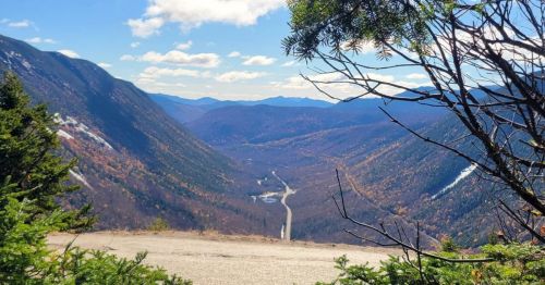 Trees creating a natural frame around a valley with fall leaves.