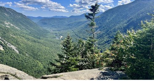 A forested overlook of a valley.