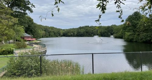 A fence with a lake and forest behind it.