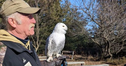 A man holding a white owl on his arm.