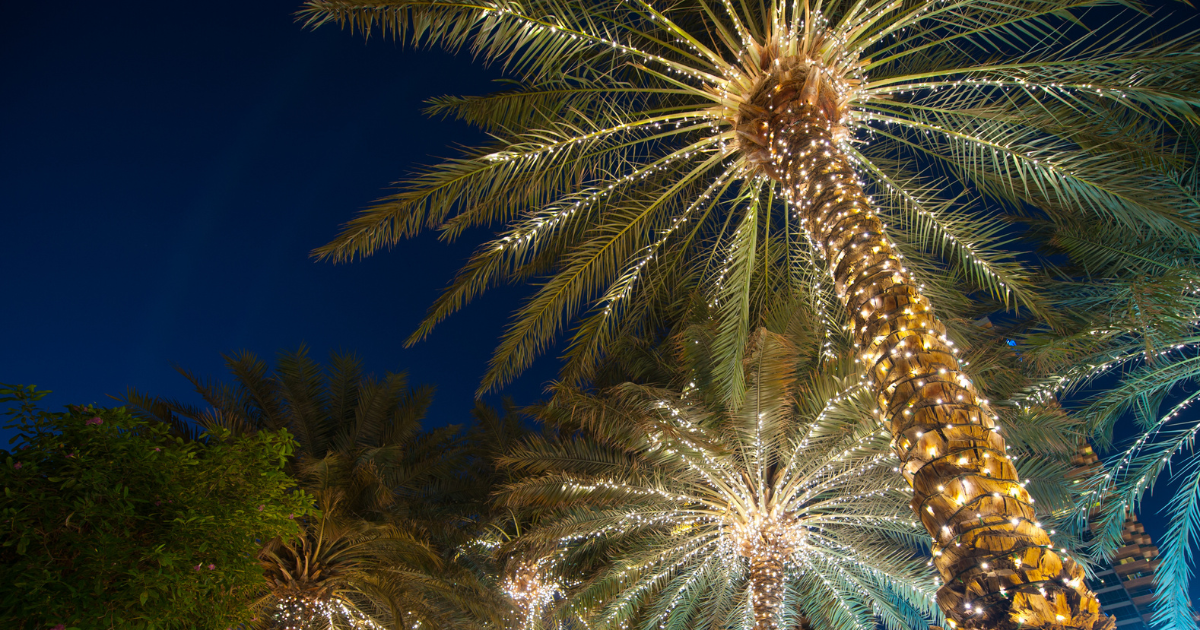 The One Thing To Do in Southern California Before the End of the Year