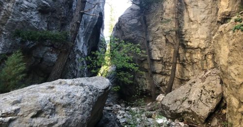 A narrow, rocky canyon with tall stone walls, scattered boulders, and pine trees growing between the rocks.