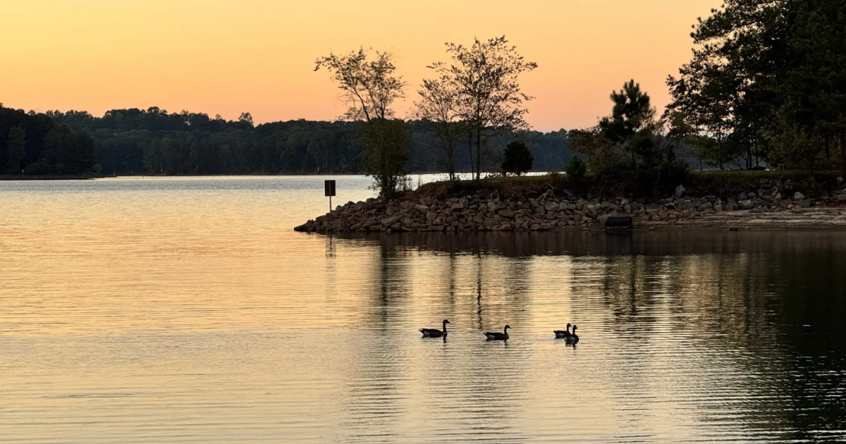 This Scenic Georgia Hike Is Even Better in the Winter