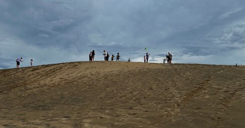 Sand dune at Jockey's Ridge State Park on a cloudy day