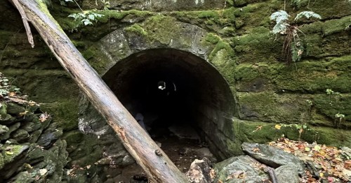 The entrance to an old-fashioned stone tunnel with moss around the walls.