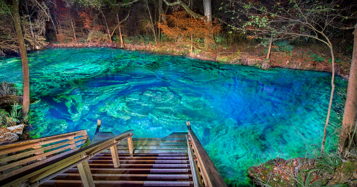 Exploring the Interpretive Cave Dive Trail at Wes Skiles Peacock