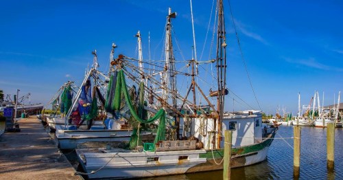 Several shrimping and fishing boats docked at the bay in Apalachicola, FL