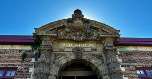 Ornate stone archway entrance to the historic Belle Isle Aquarium in Detroit, Michigan. 