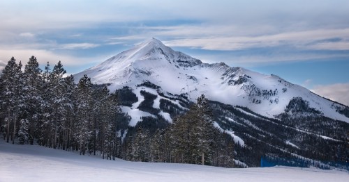 A snowcapped mountain sits in the distance with a forest of evergreen trees in front.