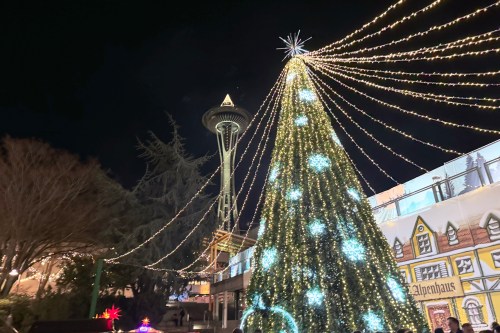 A white and blue lit faux Christmas tree with holiday lights stringing off of it in the foreground and the lit Space Needle in the background.