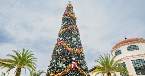 A green Christmas tree covered in colorful bauble ornaments.