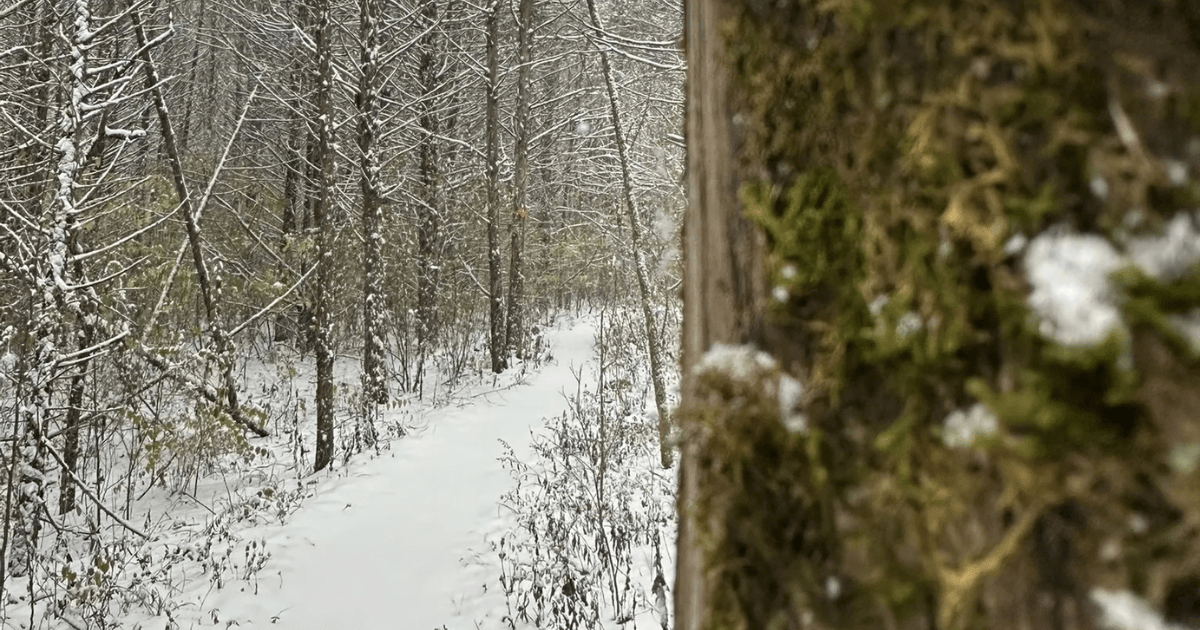 This Scenic Missouri Hike Is Even Better in the Winter