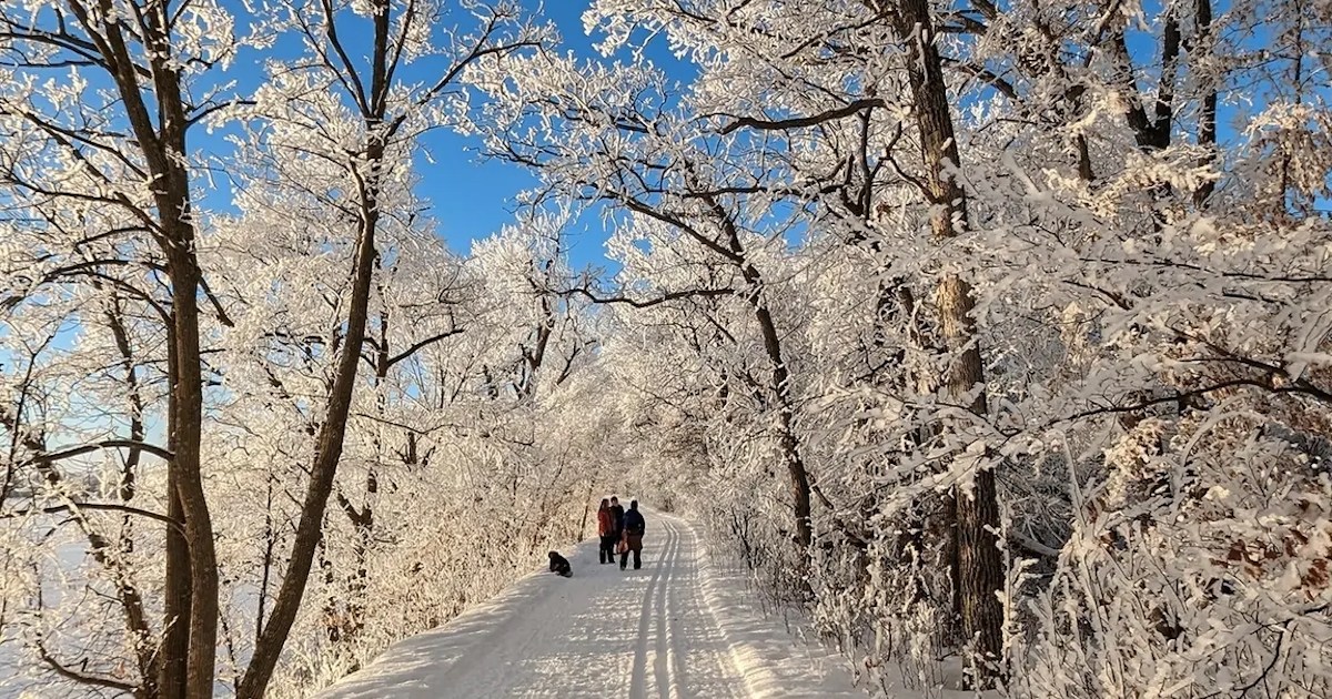 Minnesota February The State Park Is Home to One of the Best Winter Hikes in Minnesota