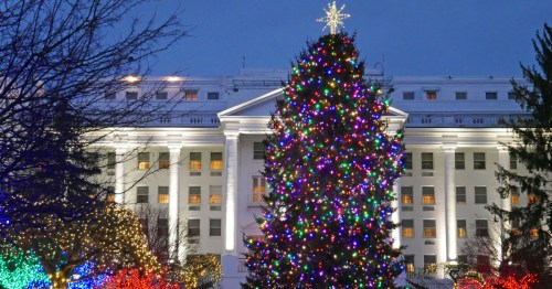 A massive multicolored Christmas tree sparkles in front of a grand resort building at dusk, surrounded by trees wrapped in festive lights.
