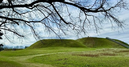 A group of earthen mounds nestled in a grassy field along a historic hiking trail in Georgia.