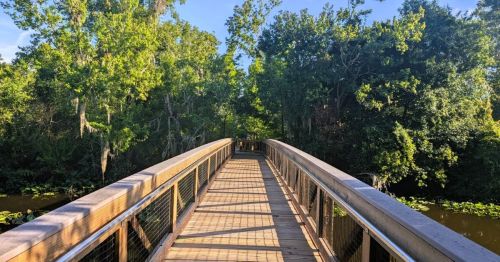 View of the boardwalk over a murky lake on the Sawgrass Lake Park Trail in Florida, with lush vegetation on either side.