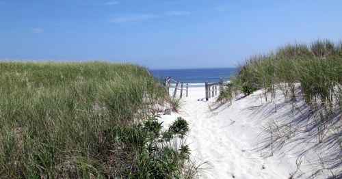 Ocean and dunes in Island Beach State Park, NJ