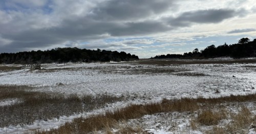 the beach grass and wetland areas of pochet island in orleans massachusetts covered in a layer of snow on a cloudy winter day