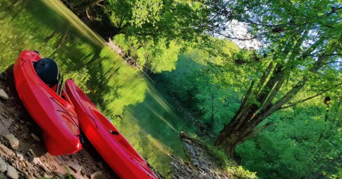 Two red kayaks resting on a riverbank surrounded by lush green Ohio forest.