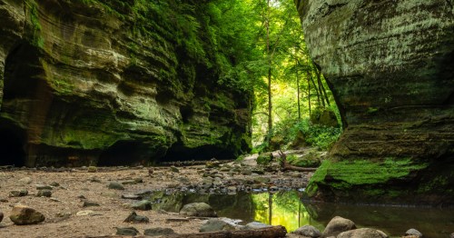 Tan sand winding between two bright green, moss covered rock cliffs at Starved Rock State Park.