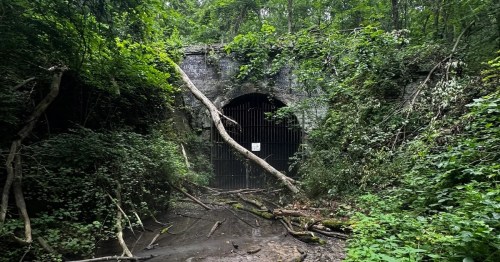 An abandoned rail tunnel is surrounded by lush green vegetation and blocked by a metal grate.