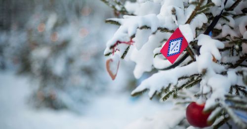 A tree covered with snow, decorated with the Arkansas state flag.